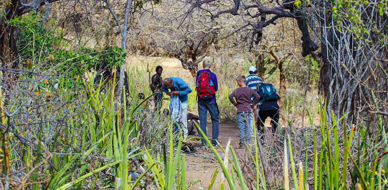 walking safari
