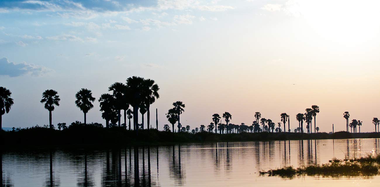 nyerere national park
