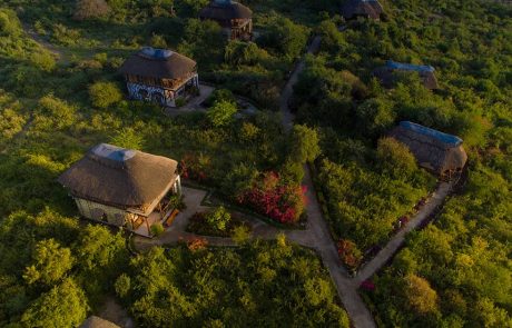 manyara wildlife camp