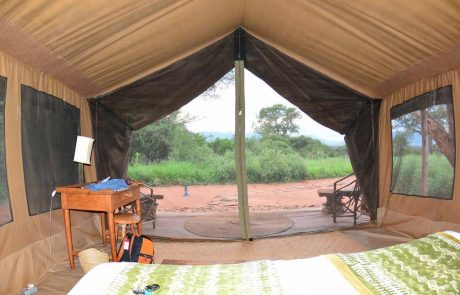 babu's safaris camp