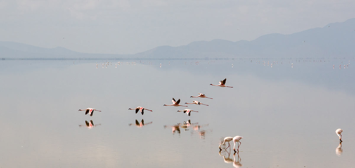 lake manyara day trip