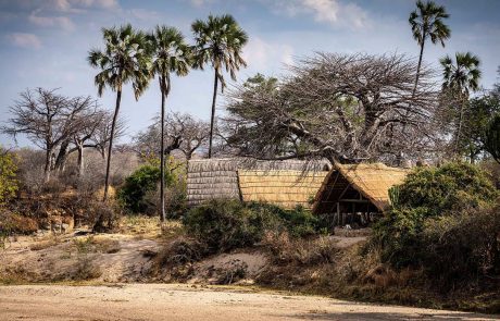 mwagusi camp