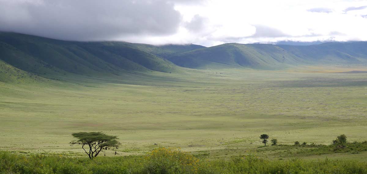 ngorongoro