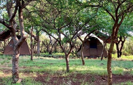 panorama safari camp