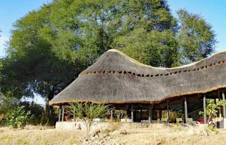 ruaha river lodge