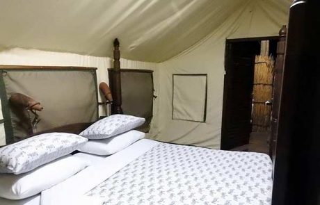 ruaha tandala camps