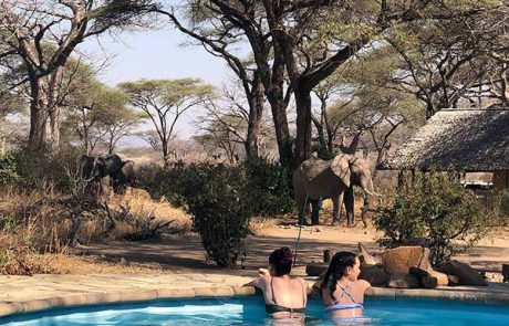 ruaha tandala camps