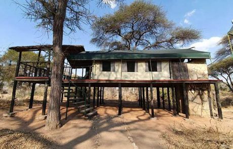 ruaha tandala camps