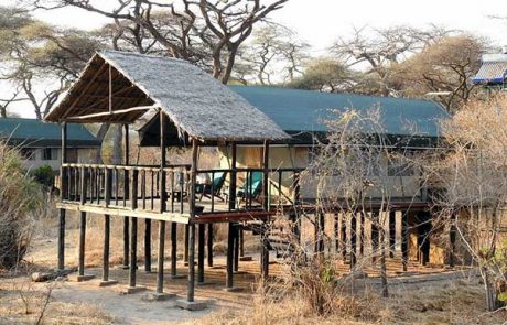 ruaha tandala camp