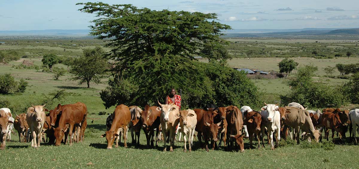 tanzania cultural tourism