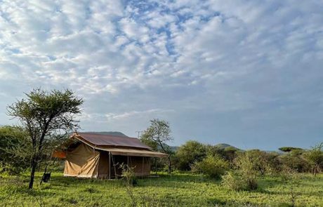 the whisper camp guest tent