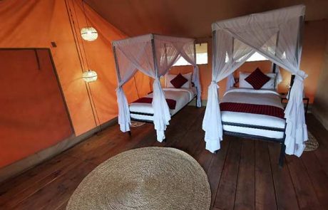 twin bed at the whisper camp