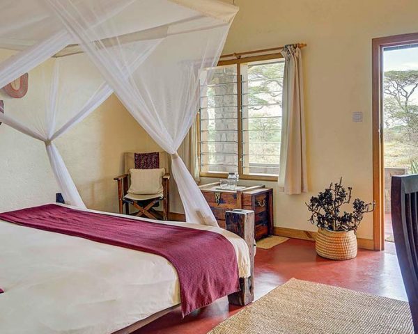 ndutu lodge