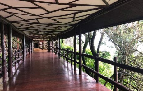 ngorongoro serana safari lodge