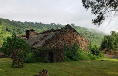 ngorongoro serena lodge