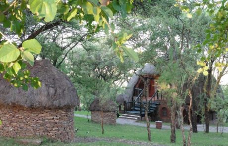 serena serengeti lodge garden