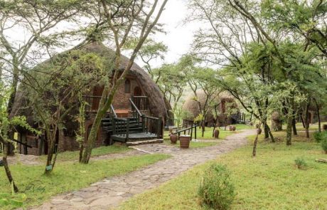 serengeti serena huts