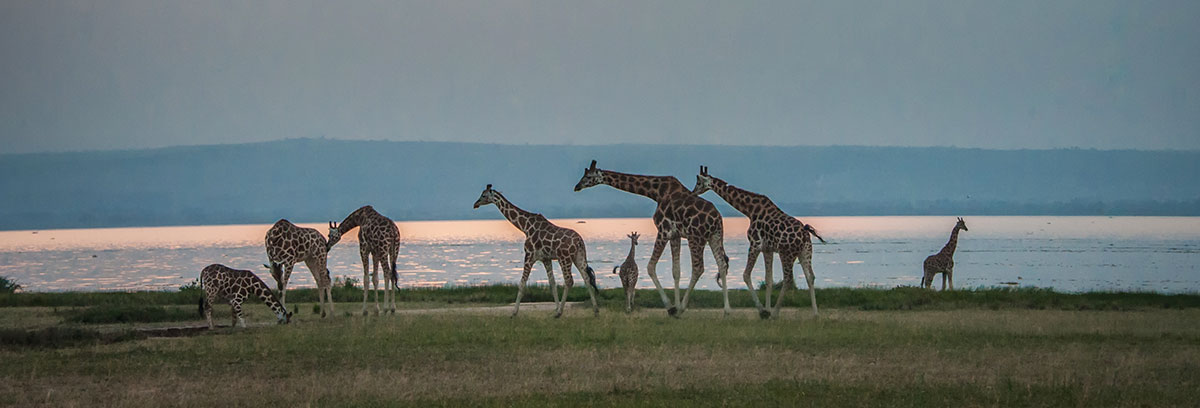 how much does it cost to visit tanzania