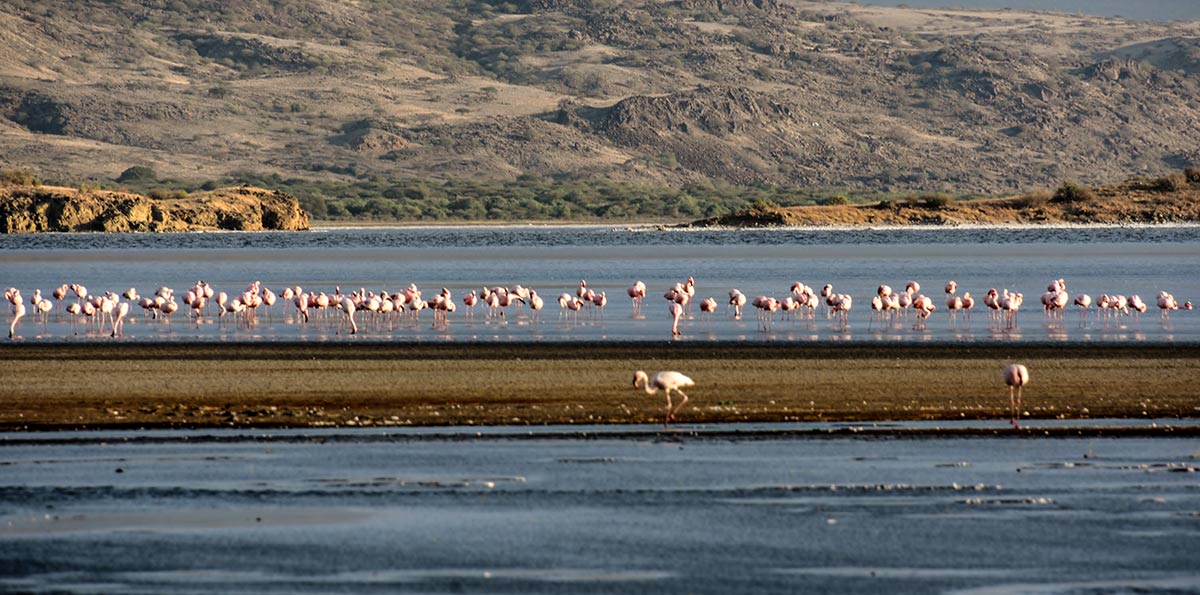 lake natron