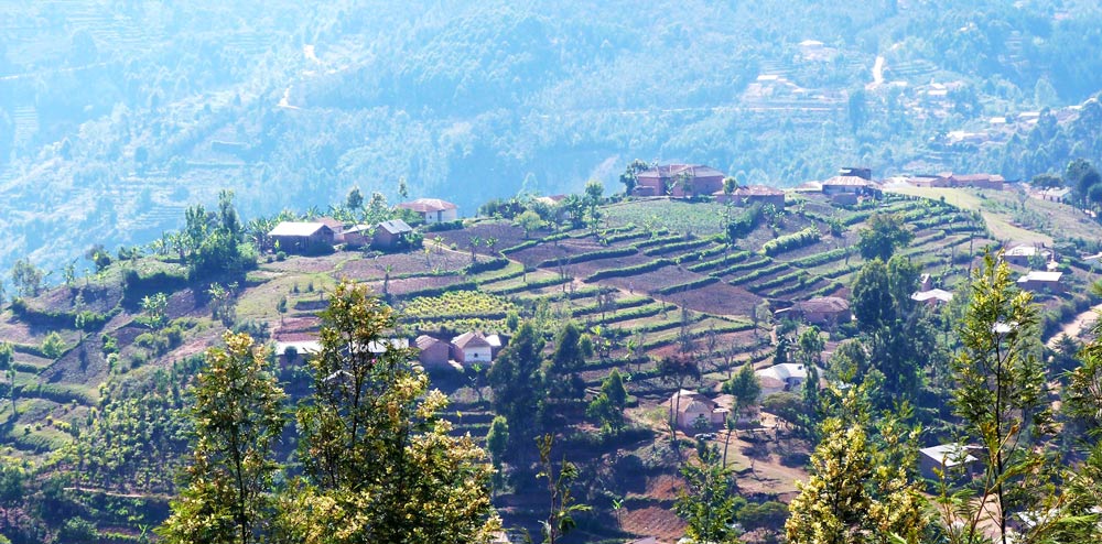 usambara mountain
