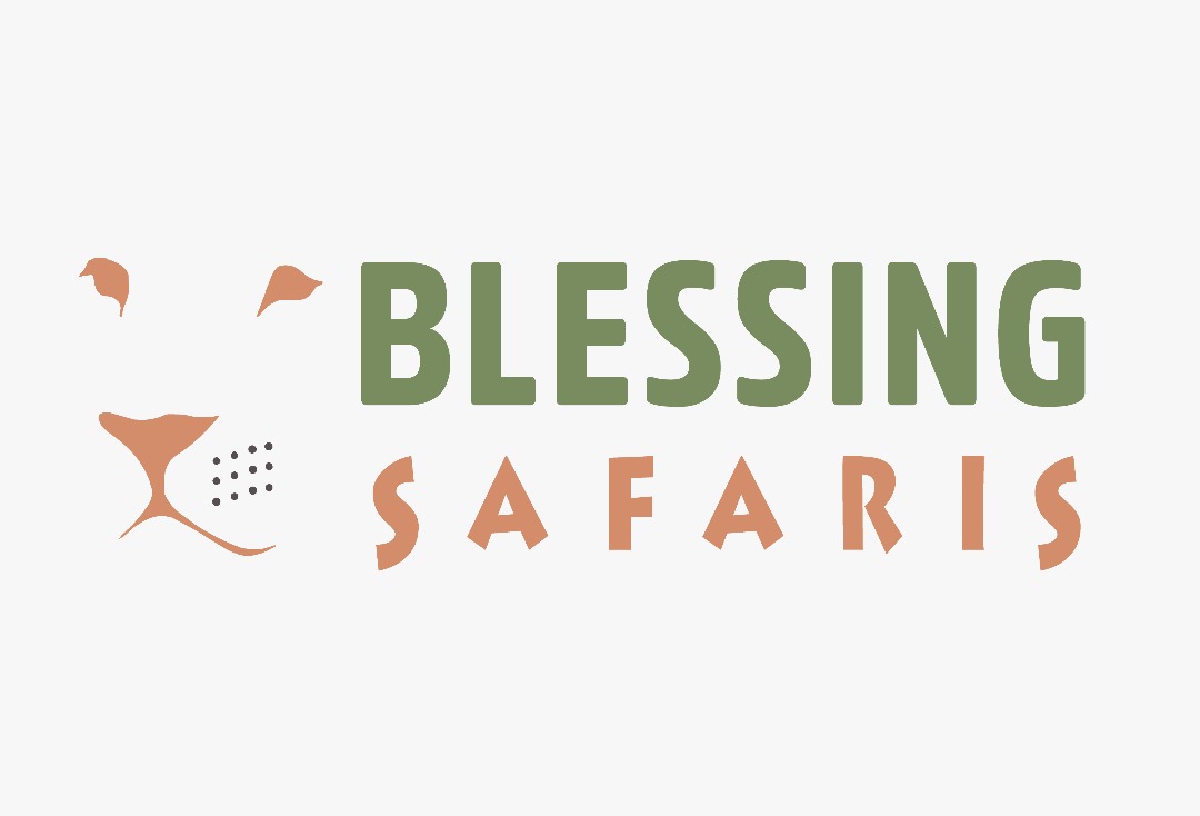 Blessingsafaris-Logo blessing safaris