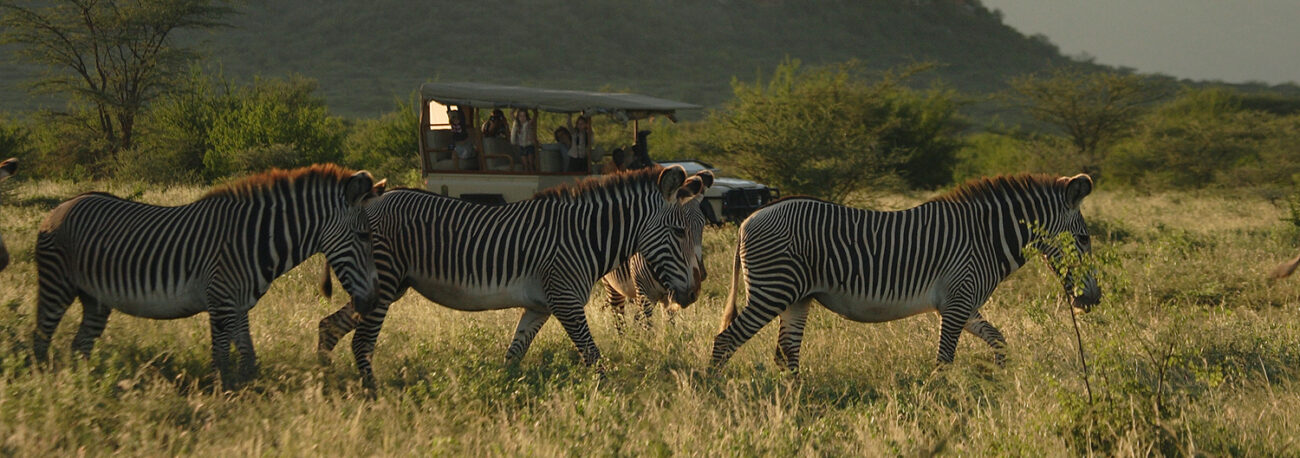 lluxury camping safari