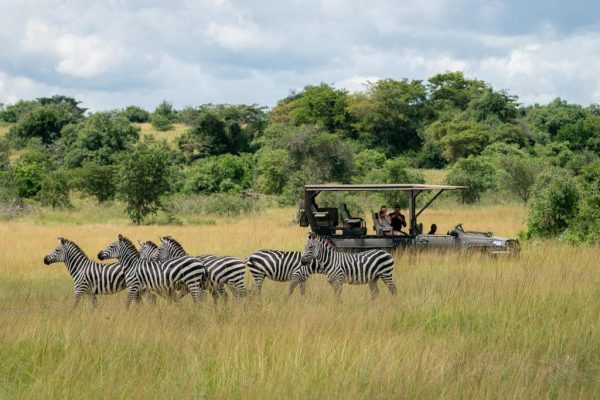 akagera national park
