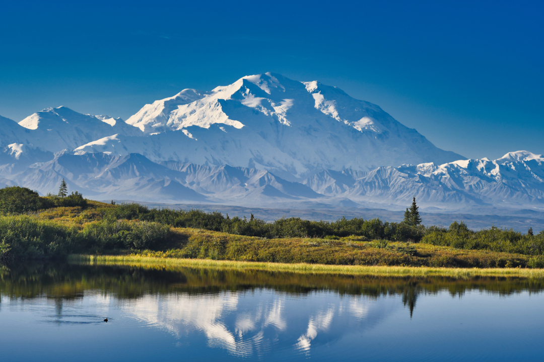 denali mountain