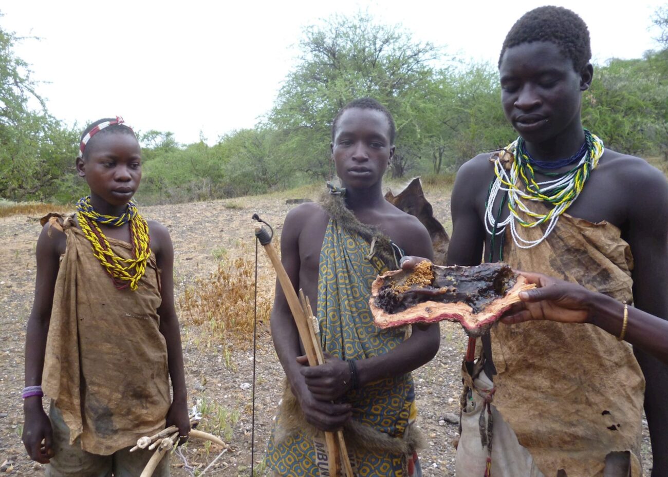 hadzabe