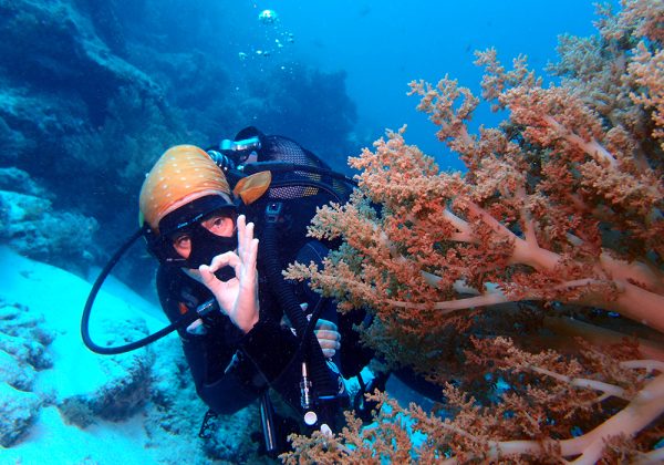 diving in zanzibar 