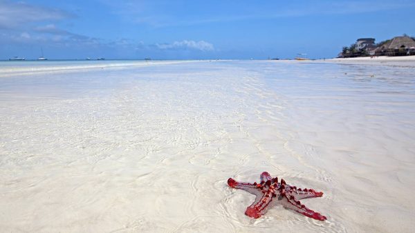 nungwi beach zanzibar