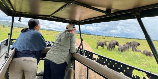safari in kenya 