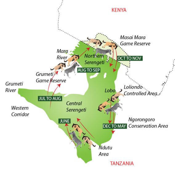 wildbeest migration map