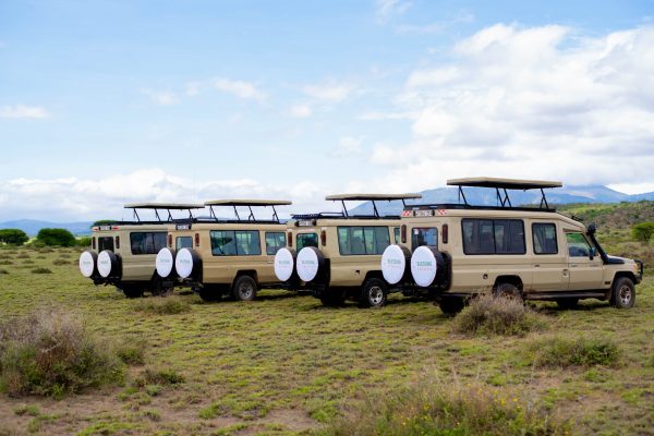 africa safari